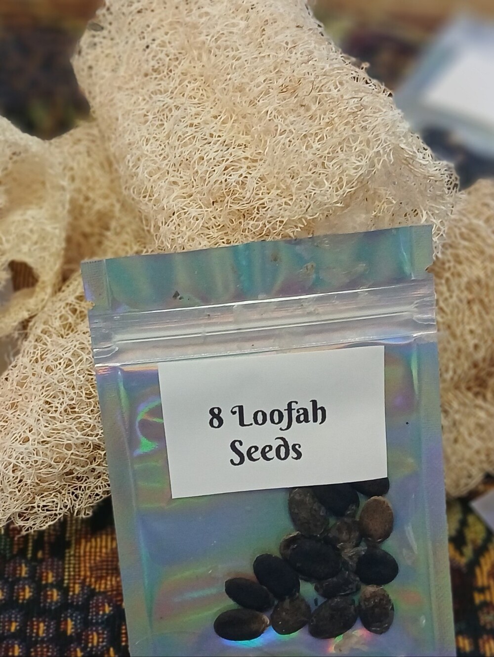 Natural Beige Loofah Seeds - 8 Count